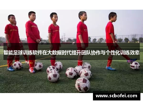 智能足球训练软件在大数据时代提升团队协作与个性化训练效率